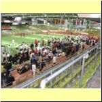 DM-2003-006a_jpg(1).html