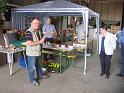 06k-IMG_2861