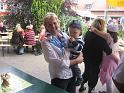 12k-IMG_2884