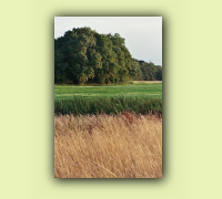 2008_08Herbst_HaD0005.JPG