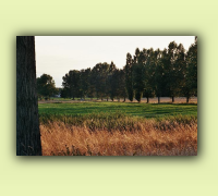 2008_08Herbst_HaD0006.JPG