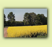 2008_08Herbst_HaD0007.JPG