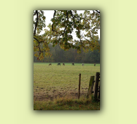 2008_08Herbst_HaD0008.JPG