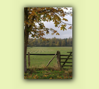 2008_08Herbst_HaD0009.JPG