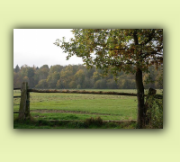 2008_08Herbst_HaD0011.JPG