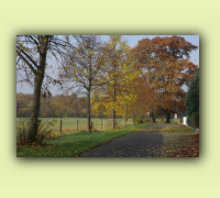 2008_08Herbst_HaD0012.JPG
