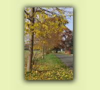 2008_08Herbst_HaD0013.JPG