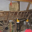 k-IMG_0869